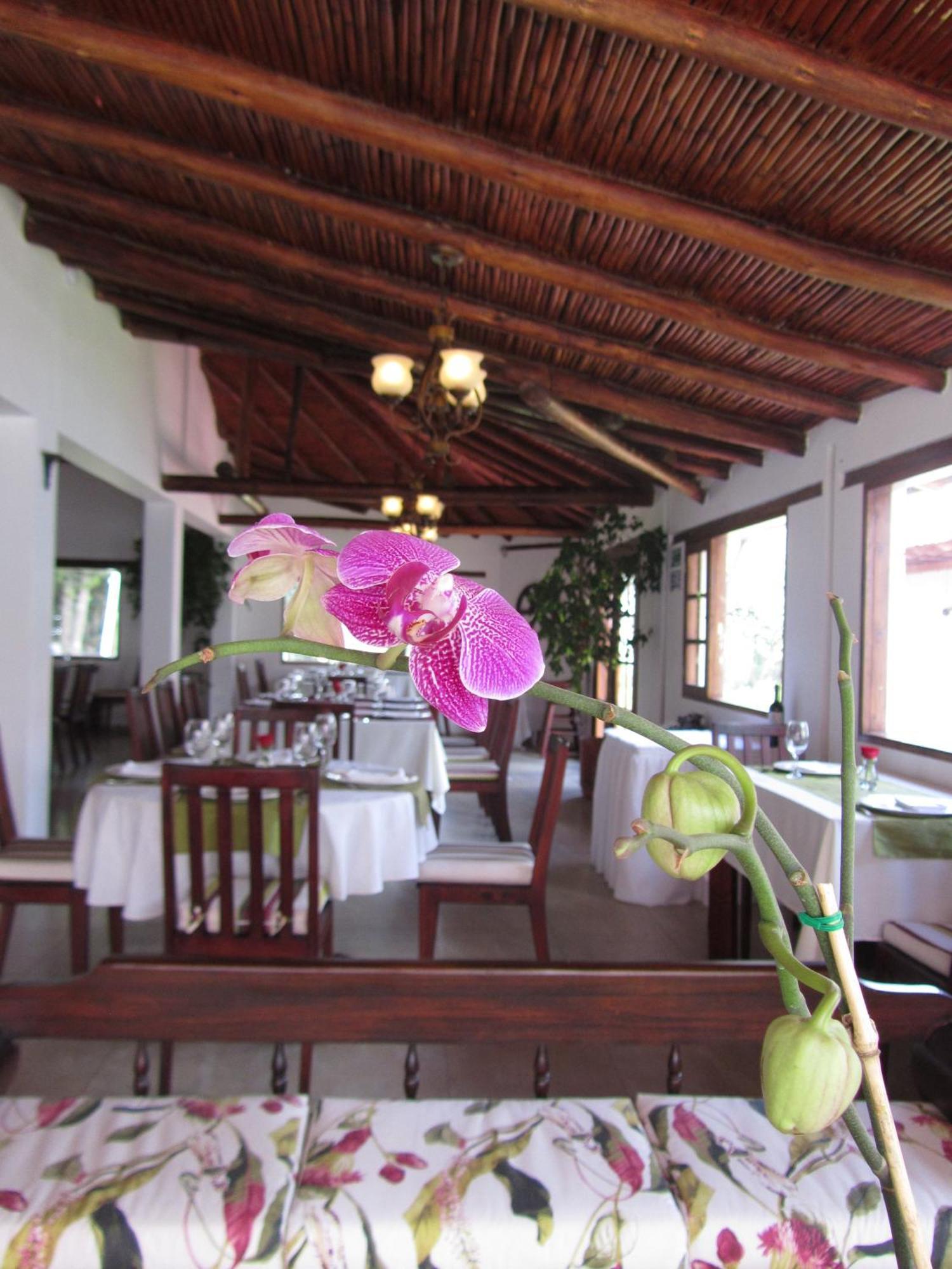 La Quinta San Andres Hotel Ibarra Exterior foto